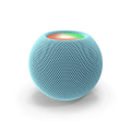 Voice Assistant