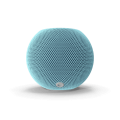 Voice Assistant