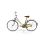 Rainbow Polyvalent Bike